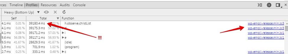 Wordpress Emoji Load Time